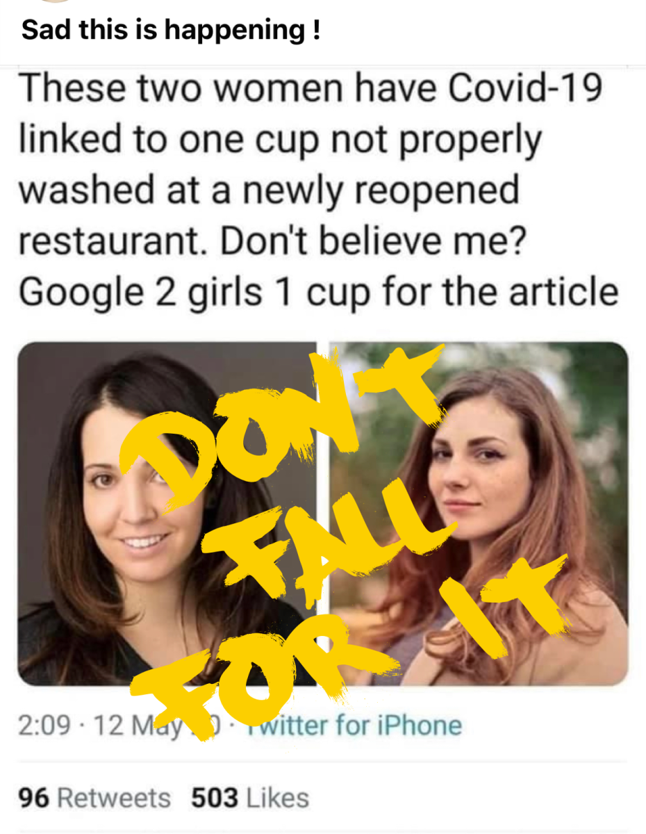 Do not fall for the 2 Girls and a cup COVID-19 social media posts!